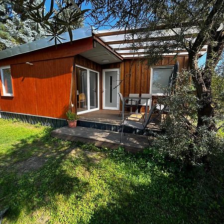 Ferienhaus Zeulenrodaer Meer エクステリア 写真