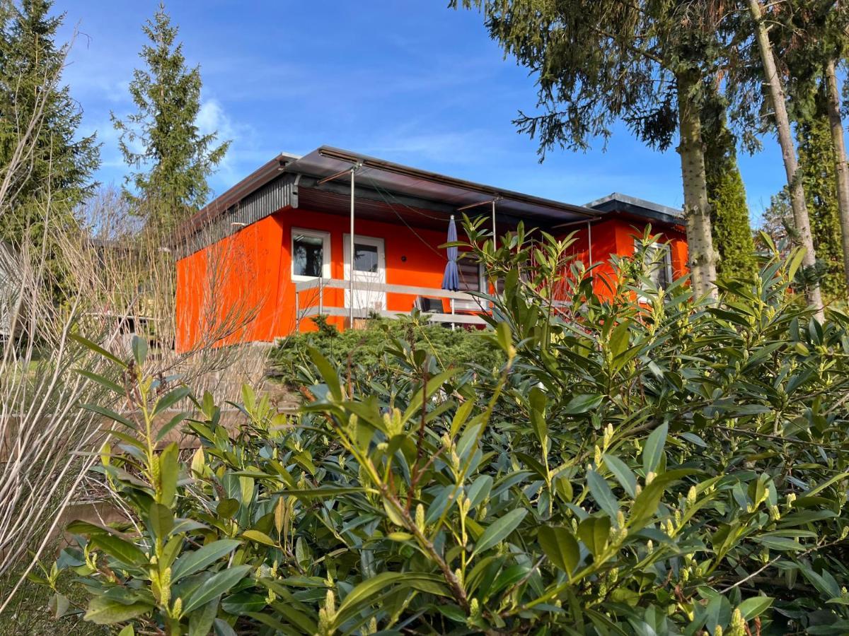 Ferienhaus Zeulenrodaer Meer エクステリア 写真